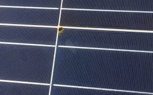 160726%e3%80%90%e7%94%bb%e5%83%8f%e3%80%91%e3%83%a2%e3%82%b8%e3%83%a5%e3%83%bc%e3%83%ab%e3%82%bb%e3%83%ab%e7%84%a6%e3%81%92%e4%bb%98%e3%81%8d%e3%80%80%e7%a6%8f%e5%b2%a1%e5%98%89%e9%ba%bb6%e5%8c%ba